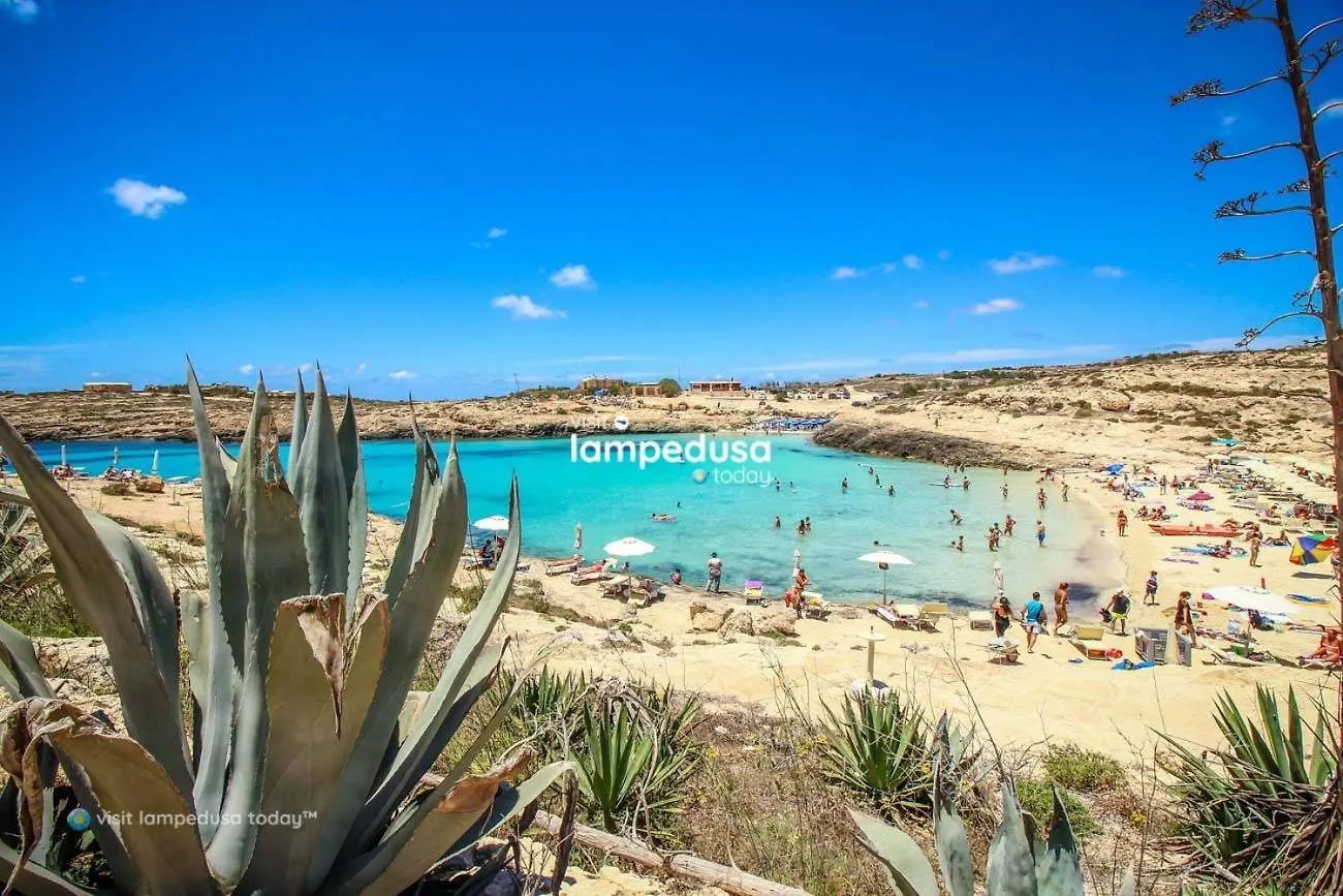 Appartamento A 3 Passi Della Spiaggia Cala Madona - Portu Antoni - Cala Croce contacts